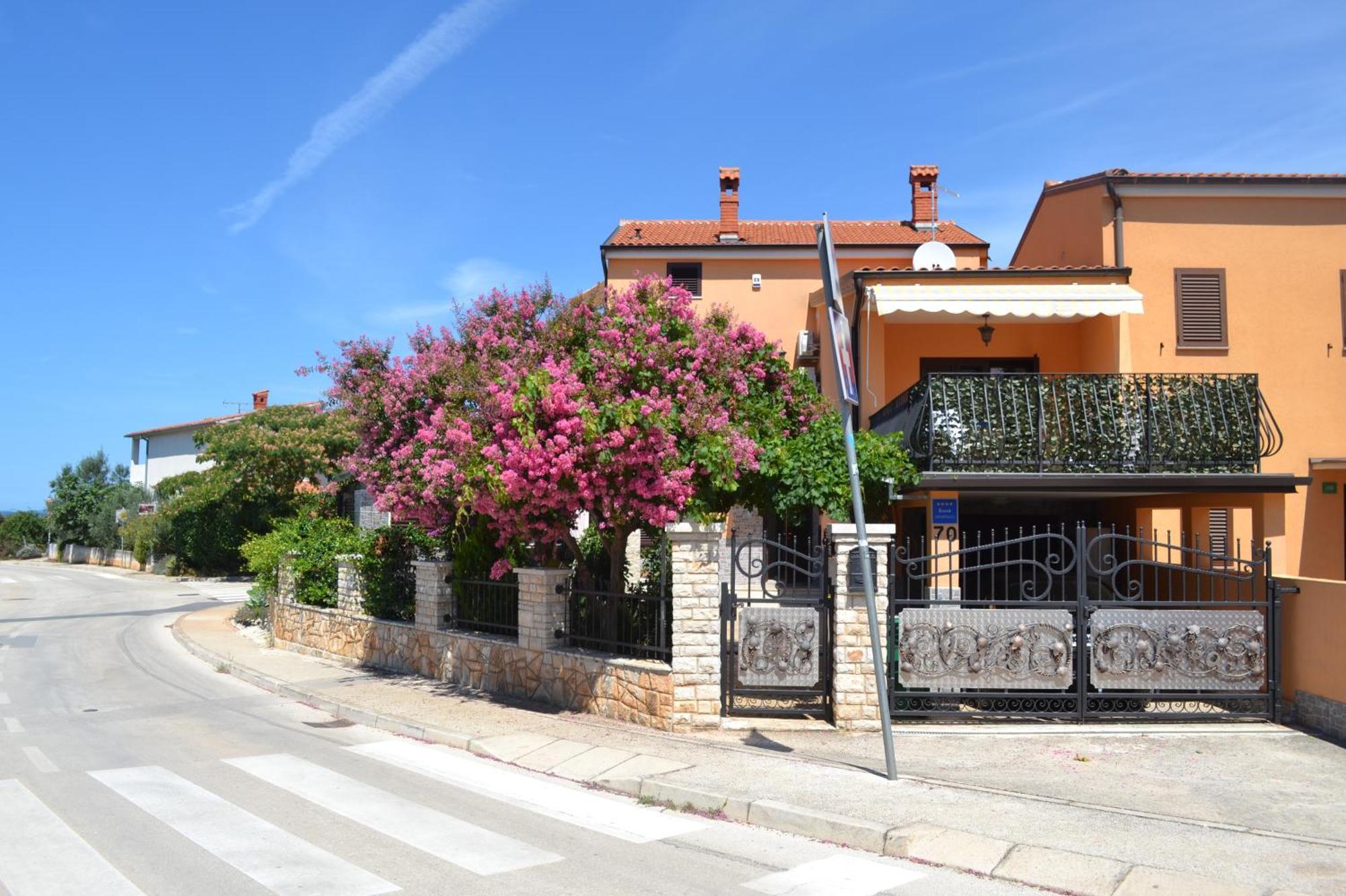 Viola Istra Guest House Štinjan Exterior foto